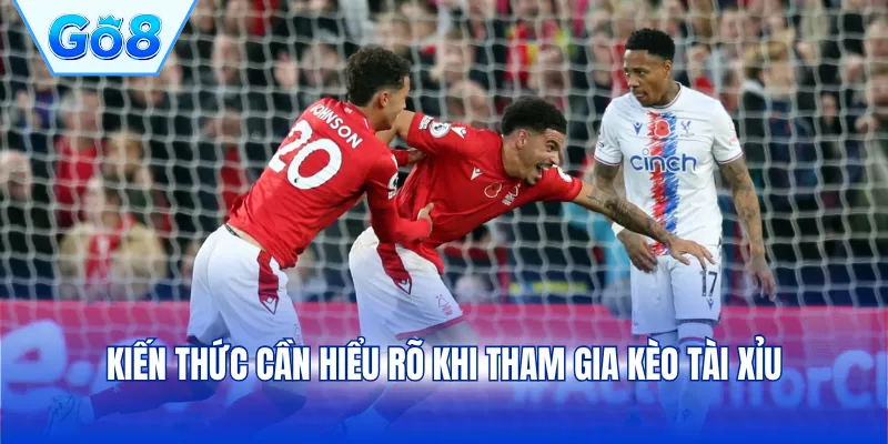 Kiến thức cần hiểu rõ khi tham gia kèo tài xỉu